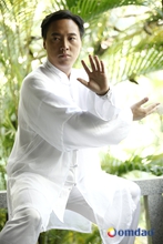 Chen Bin Chen-Taijiquan Meister, Form1